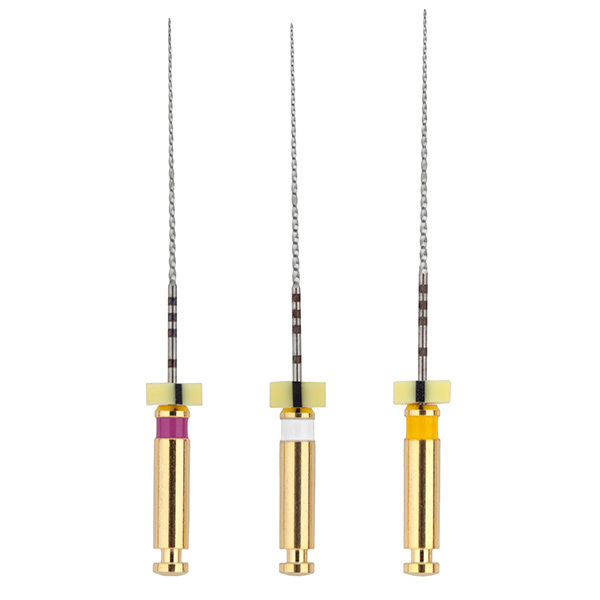 Limas best path endodoncia bestdent