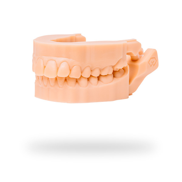 Freeprint model pro sand 1000g cad/cam detax