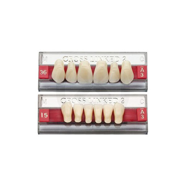 CROSS LINKED 2 Posteriores