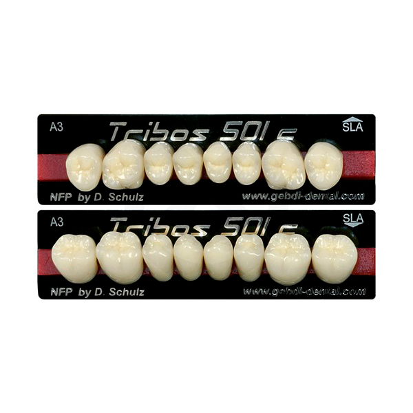 DIENTES TRIBOS 501 Molares Composite