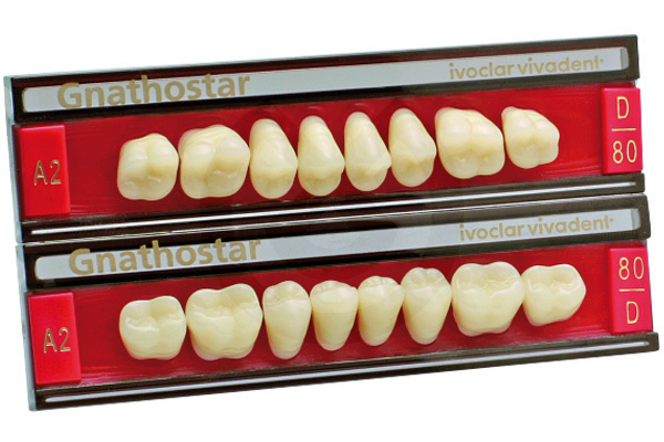 GNATHOSTAR A-D Posteriores