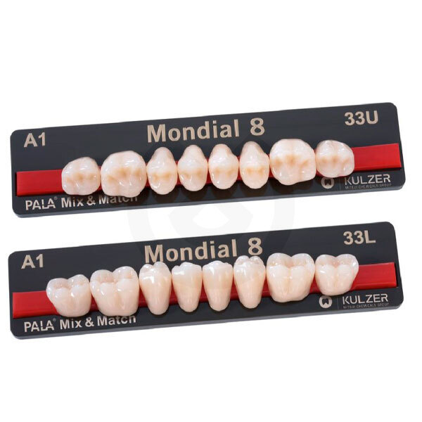 KULZER MONDIAL 8 POSTERIOR INFERIOR Y SUPERIOR