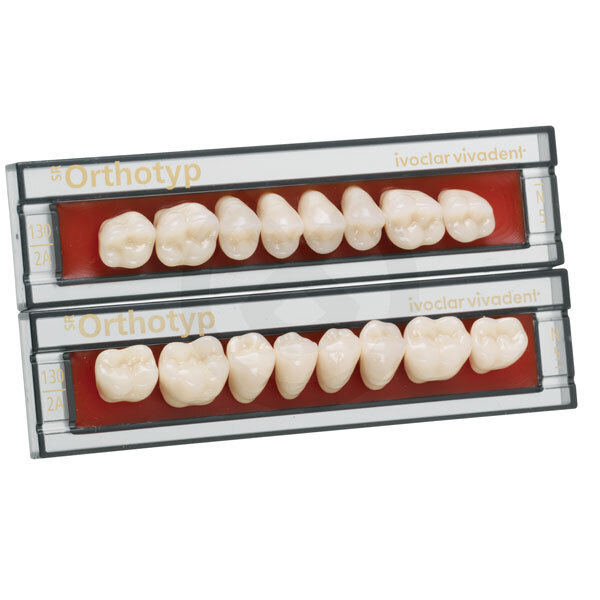 SR ORTHOTYP CHROMASCOP Posteriores