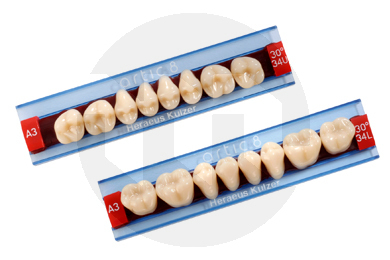 Dentes artic posteriores superiores dentes acrilicos kulzer