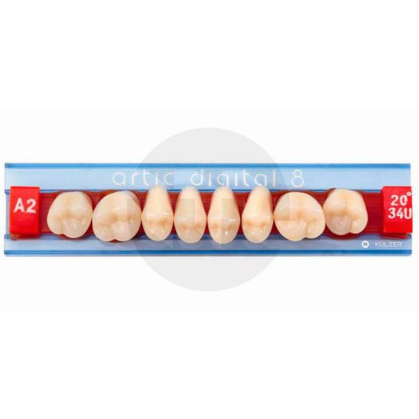 Dentes artic digital posteriores superiores dentes acrilicos kulzer